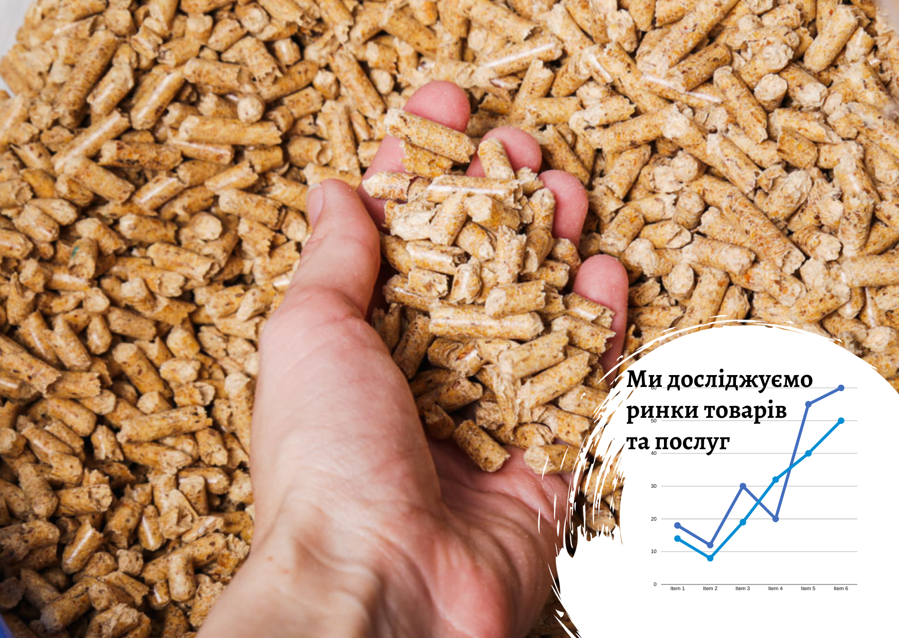 Ukraine’s compound feed market: production costs up 10–15% since 2023